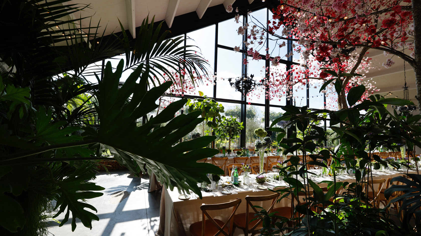 Stijlvolle feestlocatie met luxe aankleding en tropische planten, perfect voor exclusieve feesten in een unieke setting.